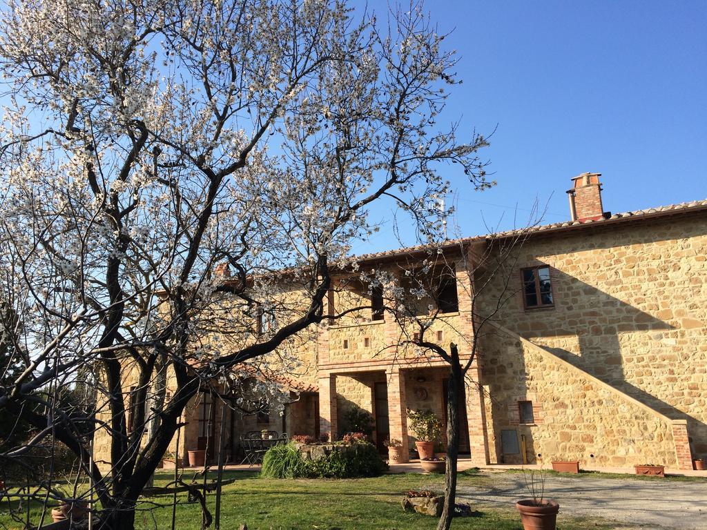 Agriturismo Podere San Gregorio Pienza Dış mekan fotoğraf