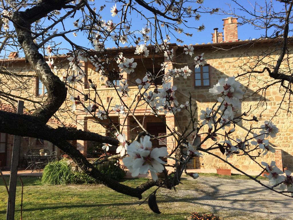 Agriturismo Podere San Gregorio Pienza Dış mekan fotoğraf