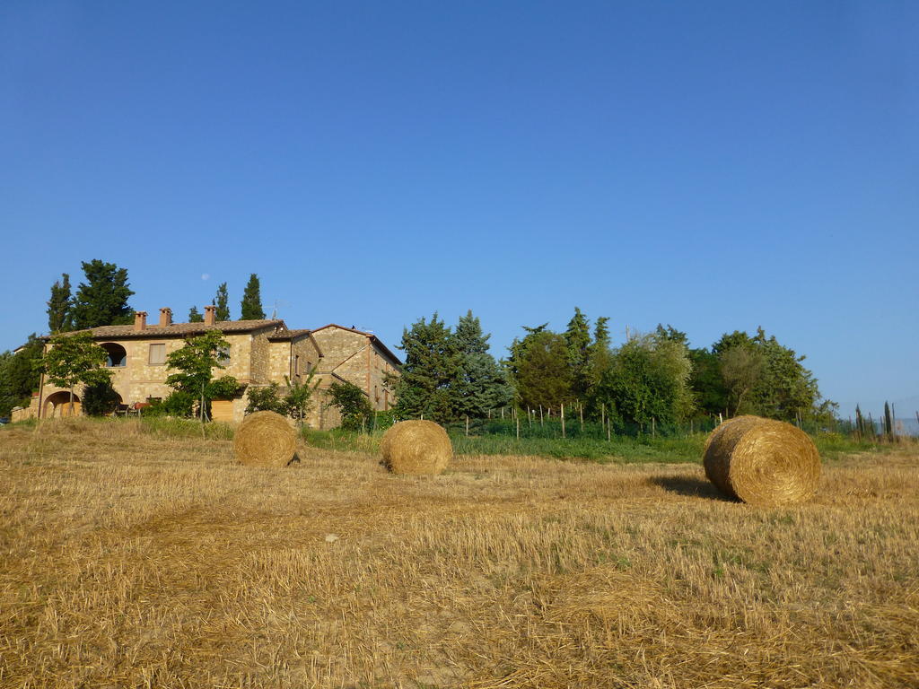 Agriturismo Podere San Gregorio Pienza Dış mekan fotoğraf